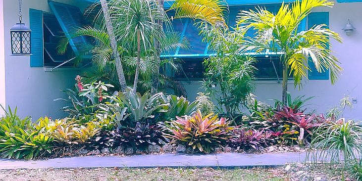 2nd image of 160 Sabal Dr