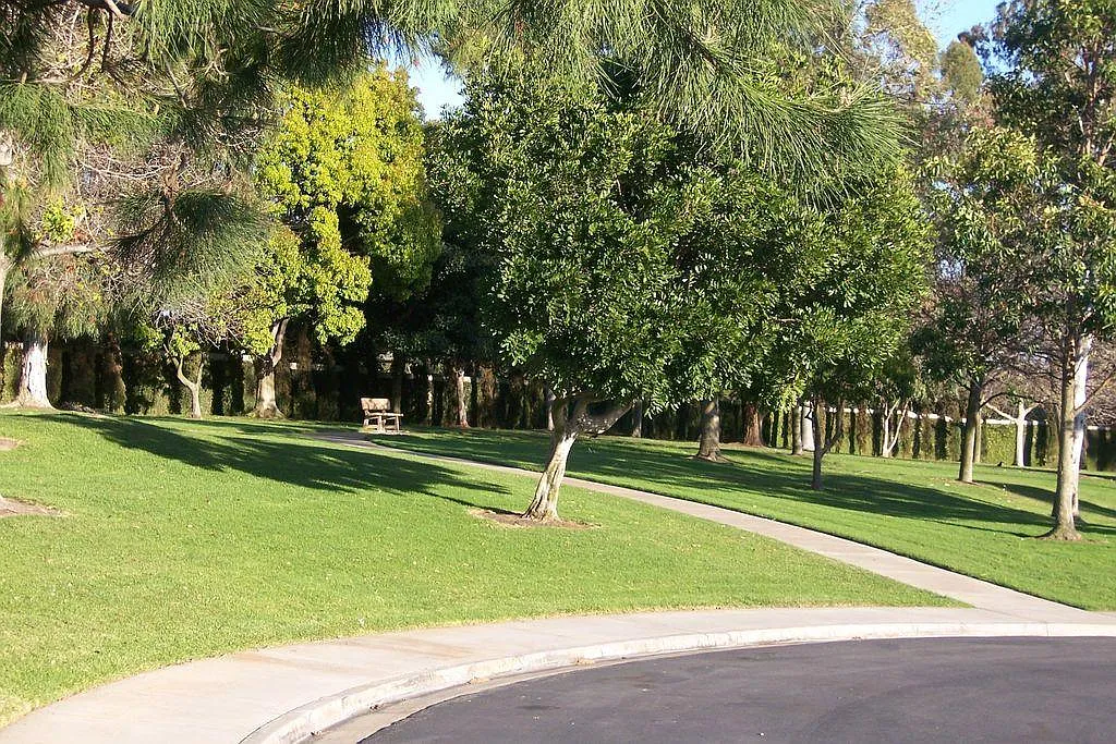 3 bed, 1430 sqft, $1,500 — Photo 3