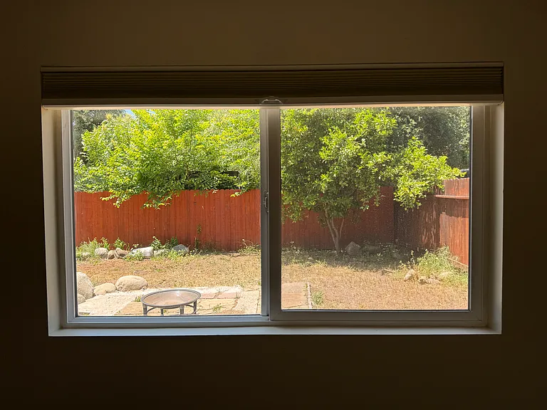 View from bedroom 2 (back yard)