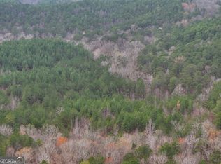 0 Hopeful Rd LOT 4, Munford, AL 36268