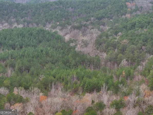 0 Hopeful Cheaha Rd Lot 4, Munford, AL 36268