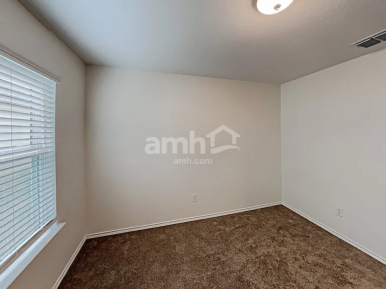 213 Texas Thistle — Photo 20