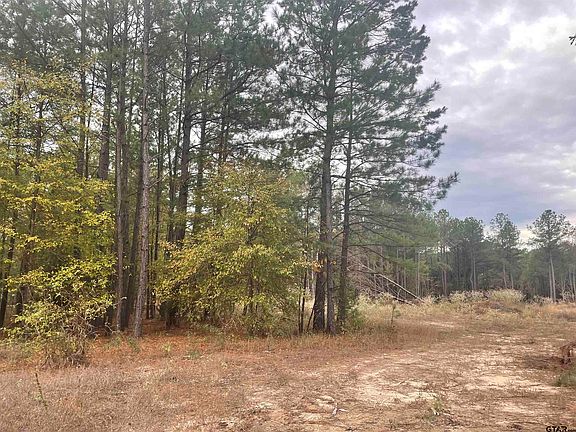 3rd image of 23530 County Road 3118