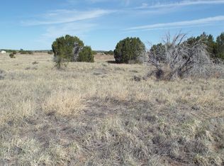 45 County Road 5204, Concho, AZ 85924