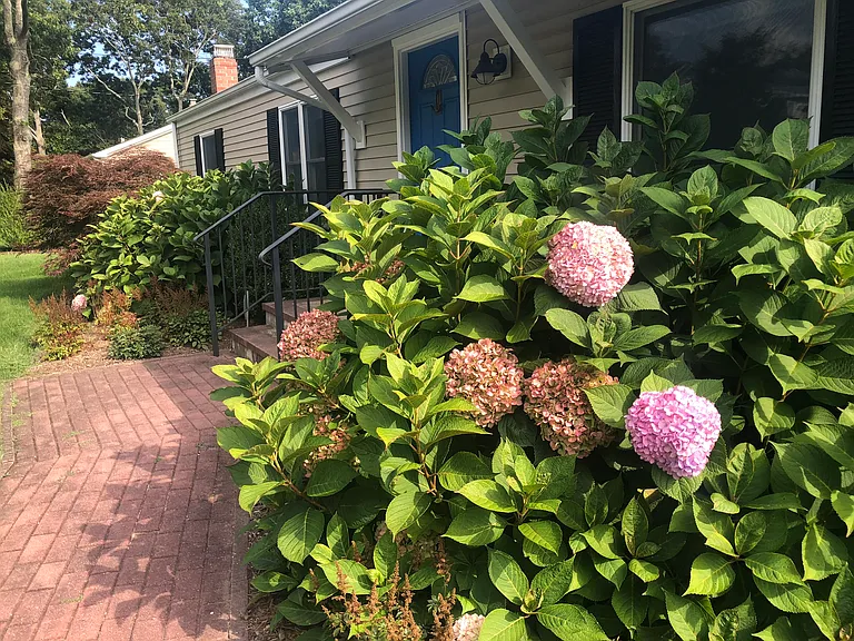 30 Tulip Ave — Photo 35