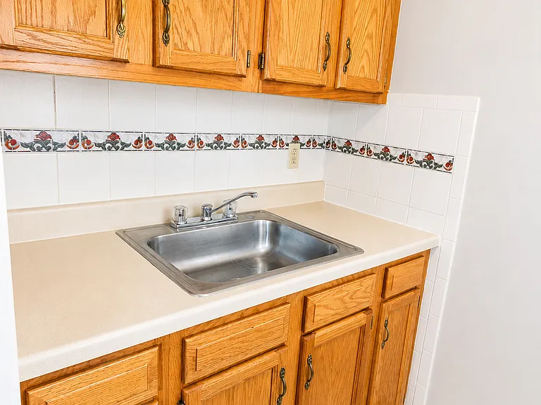 Carpeted 1 Bed/1 Bath (Unit 307)