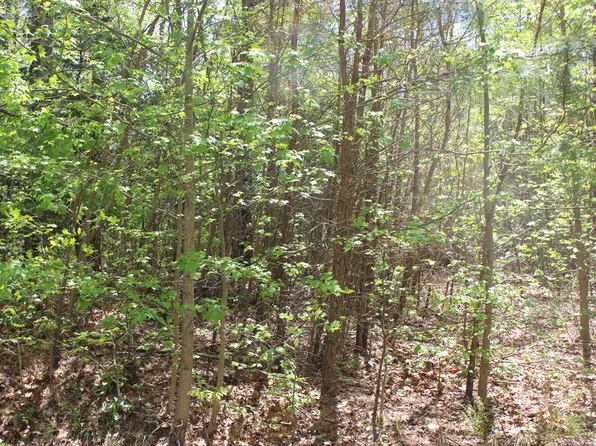 2109 Buccaneer Blvd, Greenbackville, VA 23356