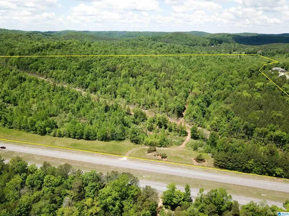 3 State Highway 75 #1, Oneonta, AL 35121