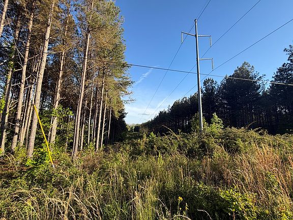 4th image of 68 Black Bear Ln