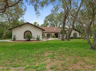 4595 Lake In The Woods Dr, Spring Hill, FL 34607