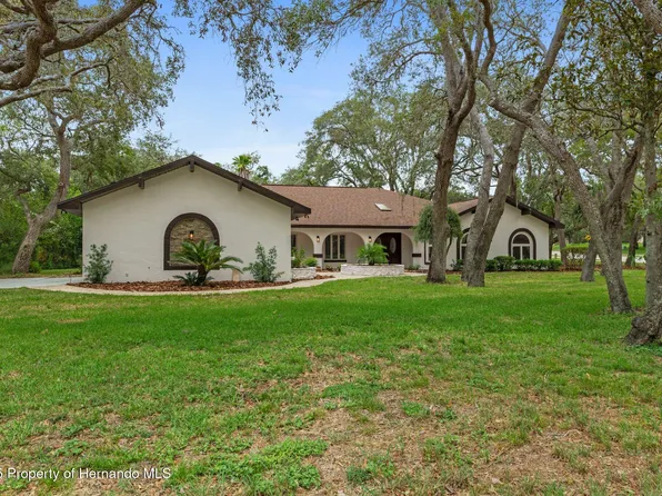 4595 Lake In The Woods Dr, Spring Hill, FL 34607