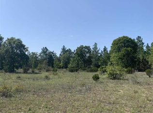 629 Bush Berry Rd, Pelion, SC 29123