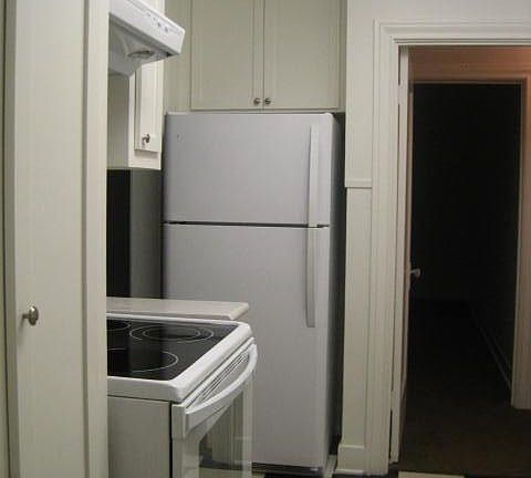 Kitchen oven and fridge