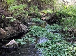 141 Young Ranch Rd, Georgetown, TX 78633