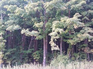 1584 E Baseline Rd, Hart, MI 49420