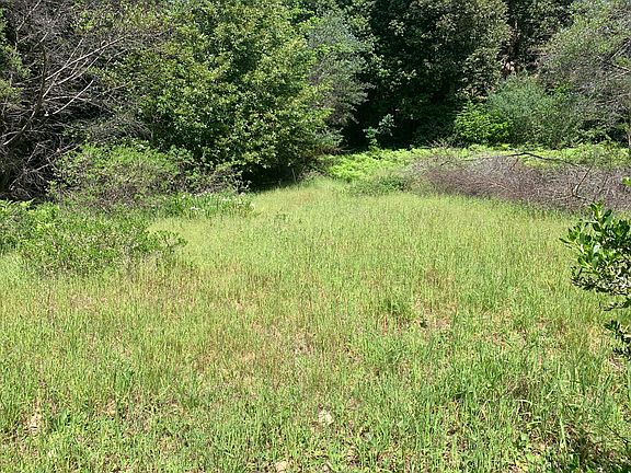 3rd image of 454 & 476 Forest Rd