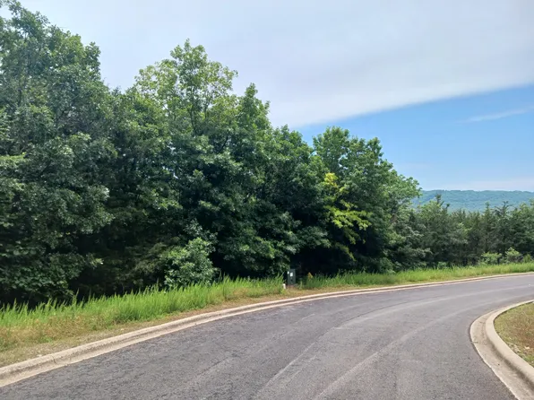 000 Flat Rock Road Lot 54, Hollister, MO 65672