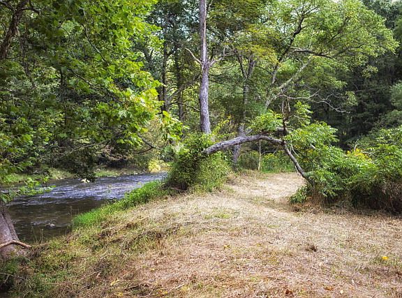 3rd image of Graymont Ln Lot 60