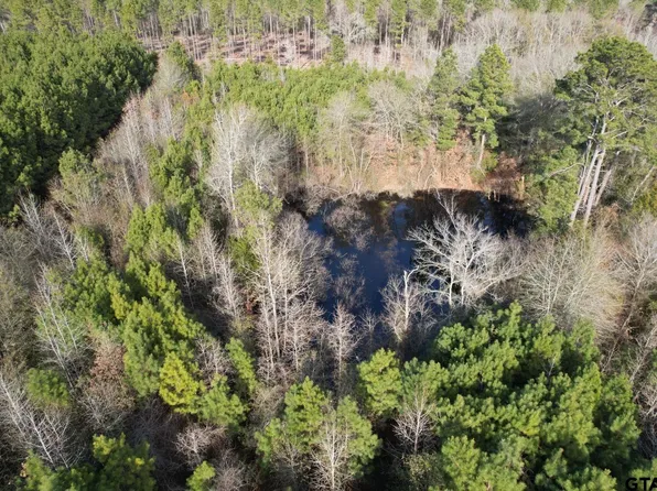 TRACT County Road 4037 #C, Timpson, TX 75975