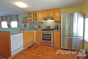 1 kitchen
