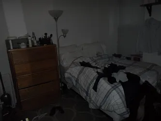 Rented by Sky Management