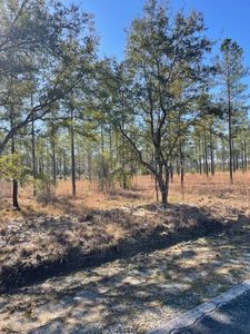 Possum Corner Rd, Early Branch, SC, 29916