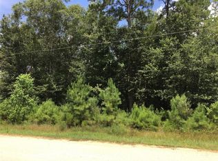 22815 Mossy St, New Caney, TX 77357