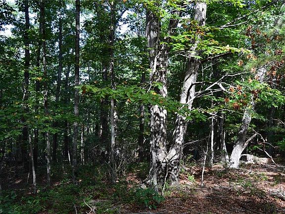 5th image of TRACT Hanging Rock Park Rd #D