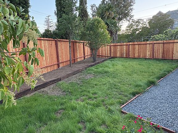 This grass is new- it's still growing in. No-mow, native to CA, drought tolerant once established. The back and side yard still need landscaping.