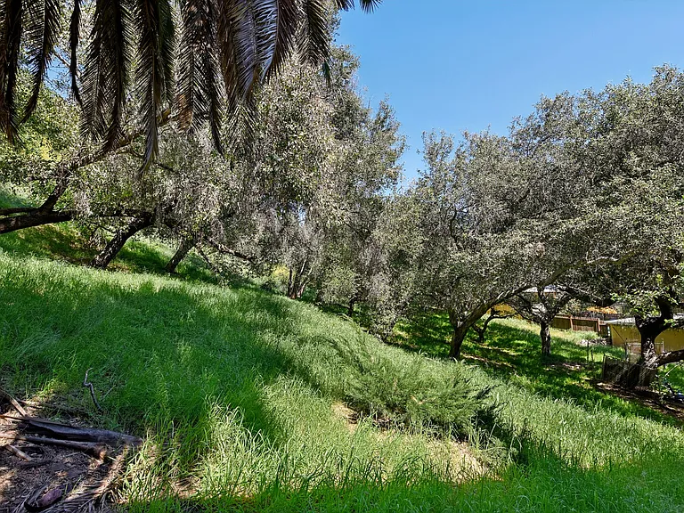 6317 Monterey Rd — Photo 32