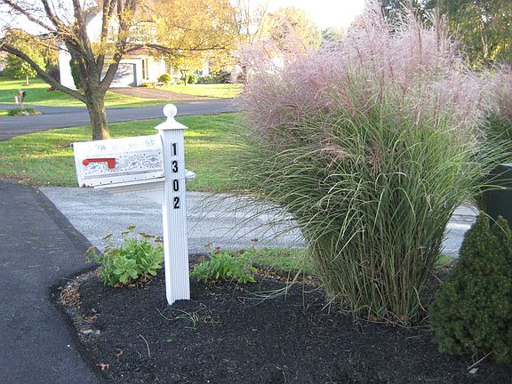 Mailbox bed