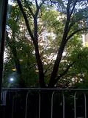 Rented by Prince Real Estate Associates LLC | media 24