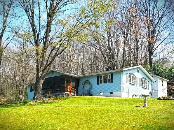 53 Apollo Dr, Canvas, WV 26662