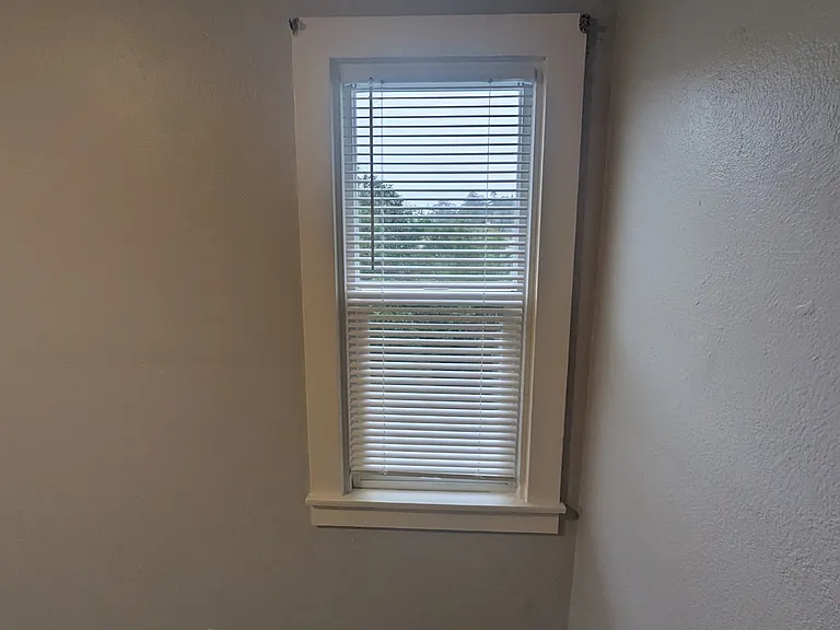 Bedroom side window (2 windows in bedroom).