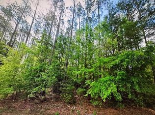 SW 52nd Ter LOT 31, Jasper, FL 32052