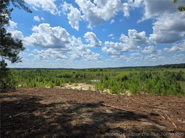 878 Loblolly Dr, Vass, NC 28394