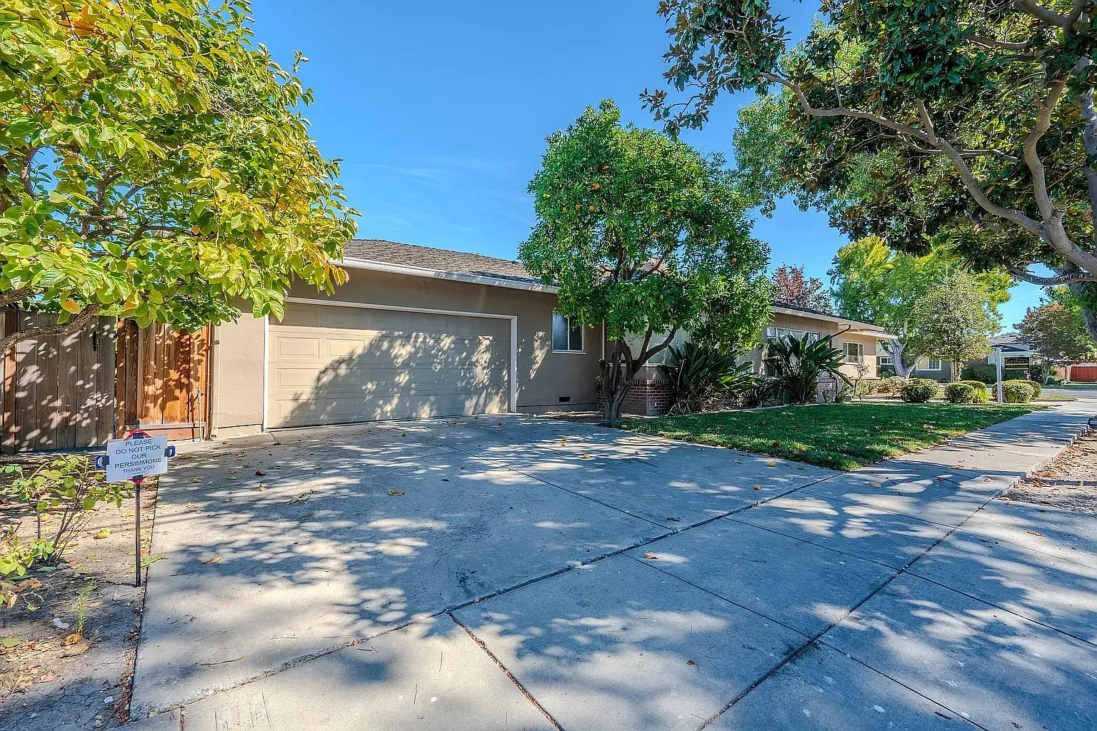 245 Alviso St — Photo 2