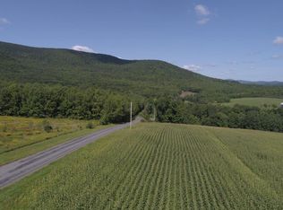 0 Nativo Court Rd, Prattsville, NY 12468