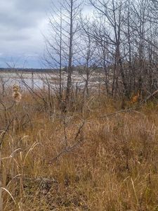 Partridge Point Rd, Alpena, MI, 49707