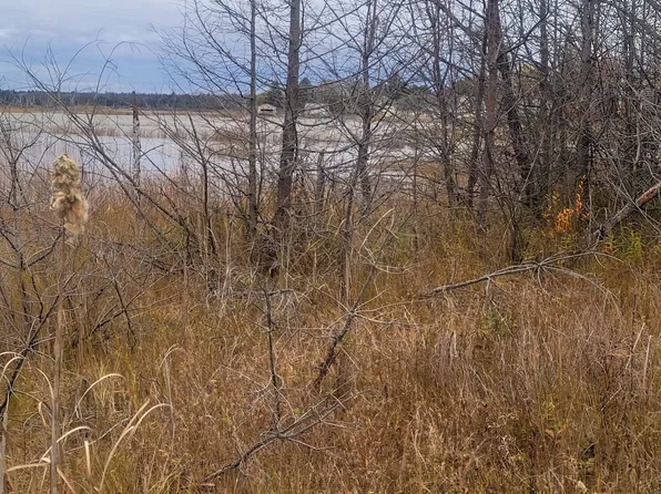 Partridge Point Rd, Alpena, MI 49707