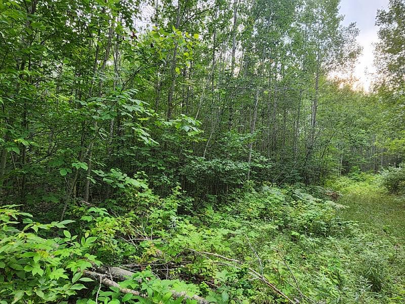 1st image of 4170 Northwood Ct Lot 240