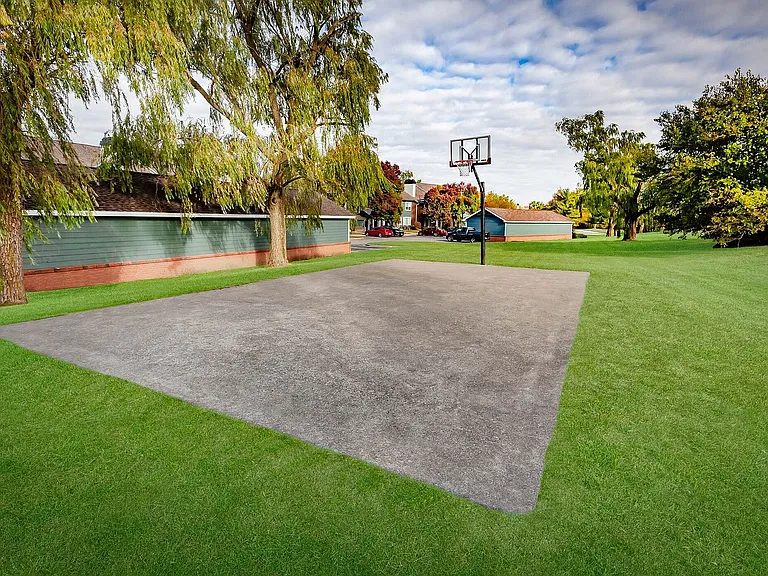 Basketball Court