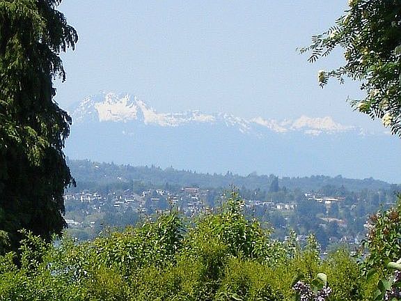 Olympic mountains view