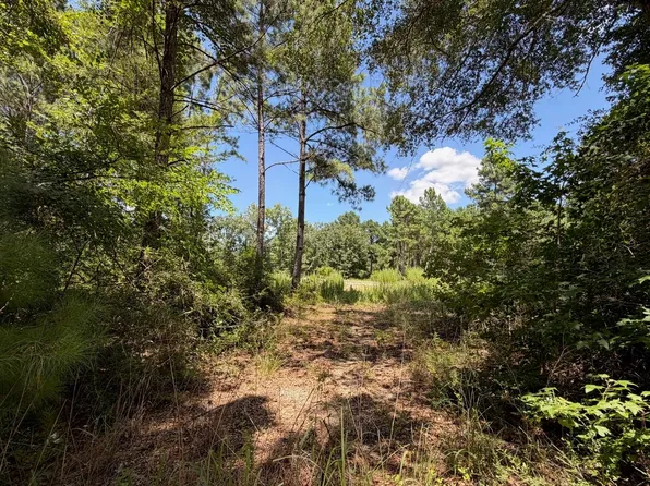 Private Road 1284, Centerville, TX 75833
