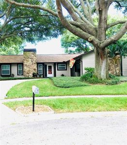 854 Trailwood Ct, Palm Harbor, FL, 34684