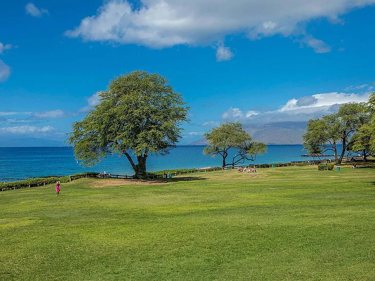 S Kihei Rd — Photo 42
