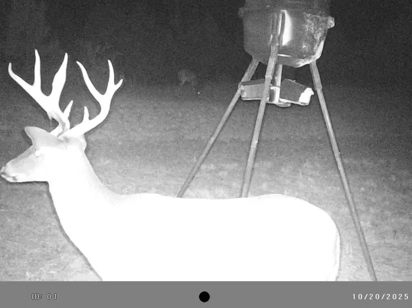 0 Pleasant Ridge Church Rd, Elrod, AL 35458