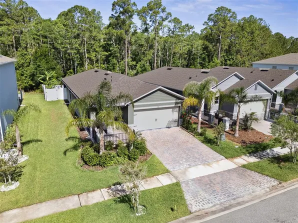 280 Caryota Ct, New Smyrna Beach, FL 32168
