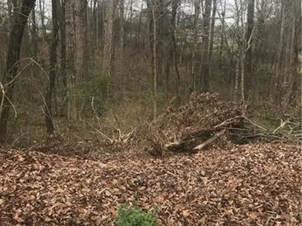 156 Bufflehead Dr Lot 19, Mooresville, NC 28117