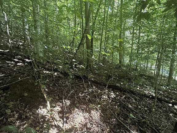 4th image of 0 Suttons Rd